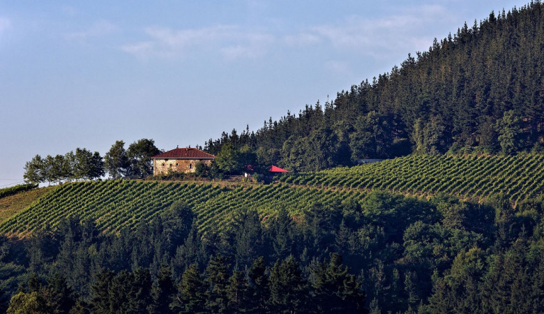 The Txakoli route in Gipuzkoa