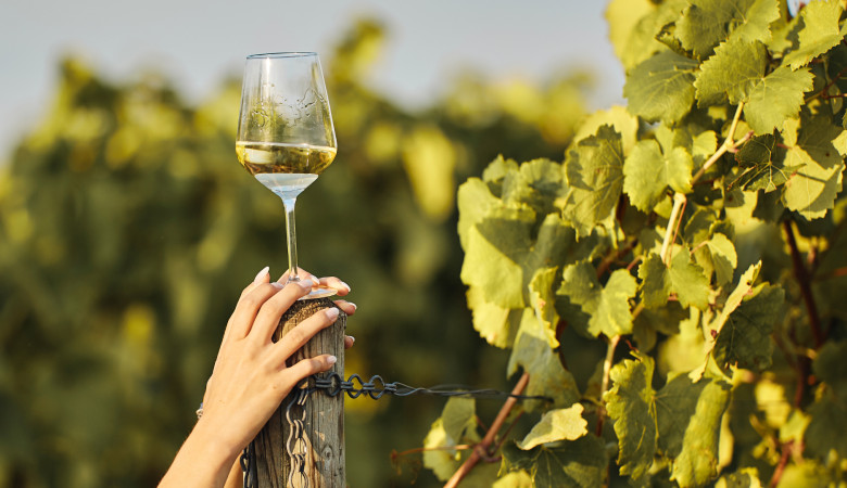 Sabores de julio: Un verano para el paladar