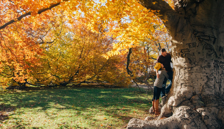 Otoño: La estación más romántica del año