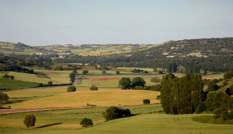 Elige Castilla y León