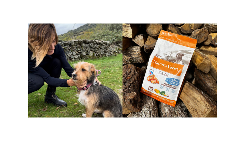 Conoce los mejores alojamientos petfriendly con Nature's Variety 