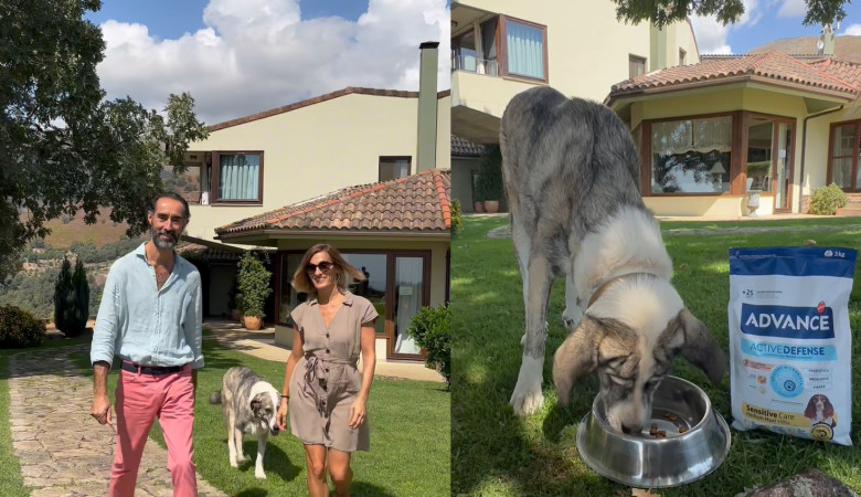 LOS PERROS SE VAN DE VIAJE CON AFFINITY E ISABEL LLORENS
