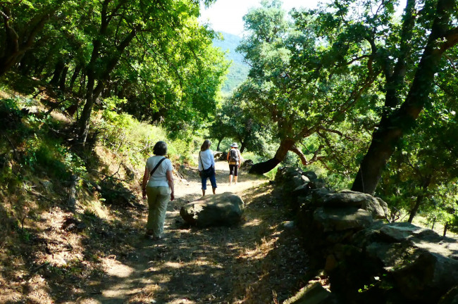 Paisatges Barcelona