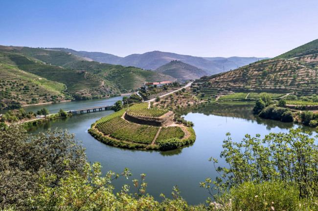 Camino de Santiago Portugués