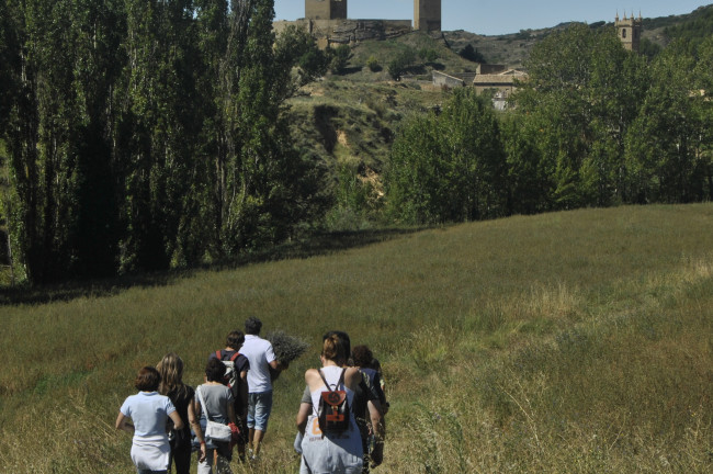 Taller de Espliego en Posada la Pastora (Zaragoza)