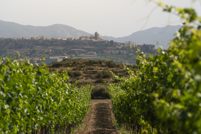 Enoturismo en la Rioja alavesa