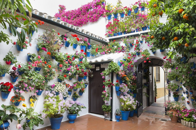 ¿Qué ver en Córdoba? Patios de Córdoba 