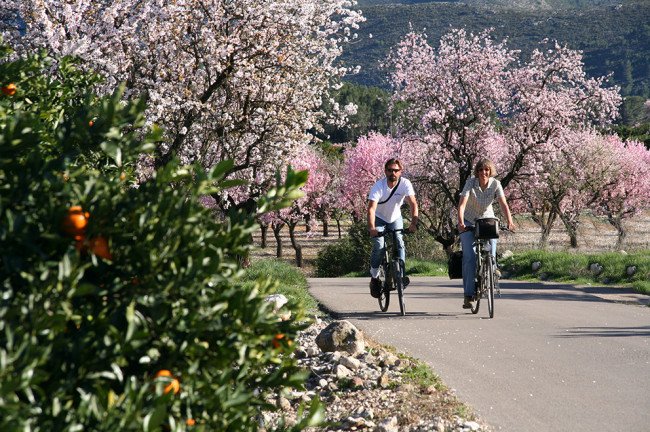 <strong>Almendros en Flor Alcalalí Rusticae</strong>