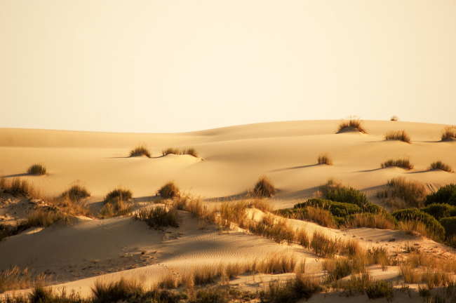 Parque Nacional de España: Parque Natural de Doñana Huelva