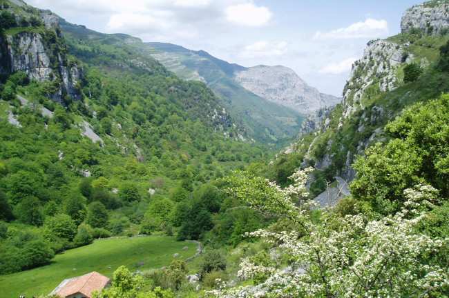  Natural Heritage to see in Cantabria