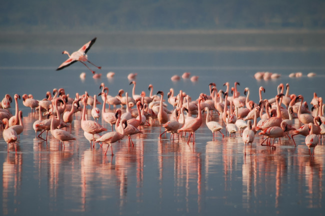 Paisajes en Parque Nacional de Doñana