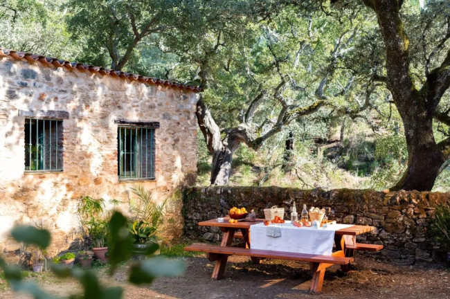 Vive la dehesa en la Sierra de Jabugo: Sumérgete en la cuna del Jamón Ibérico (Nature Space Jabugo, Huelva)