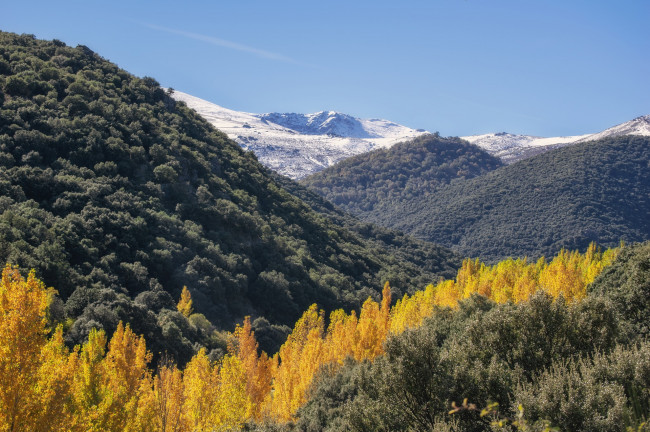 Parque Nacional de España: Parque Natural de Sierra Nevada