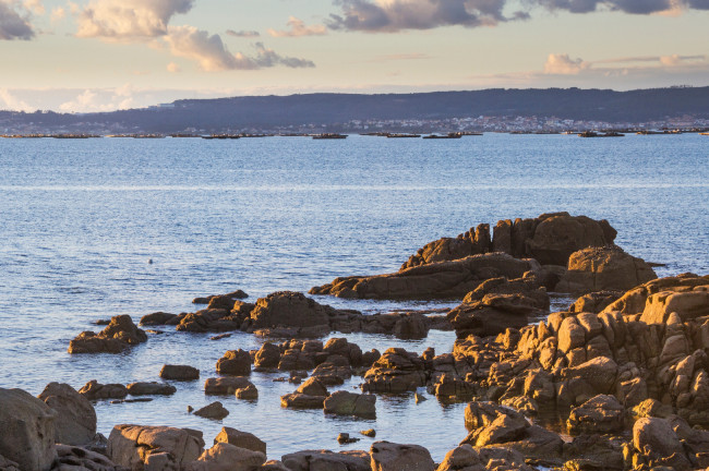Descubre las Rías Baixas más auténticas (Quinta de San Amaro, Pontevedra)