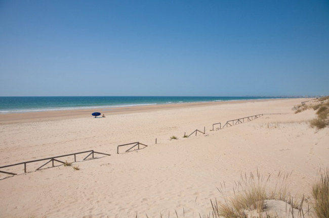 PLAYA DEL PALMAR (VEJER DE LA FRONTERA, CÁDIZ)