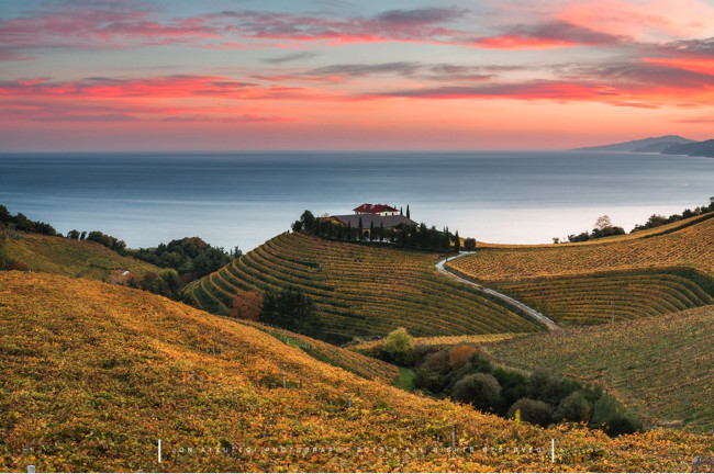 <strong>Getaria</strong> Viñas Txakolí