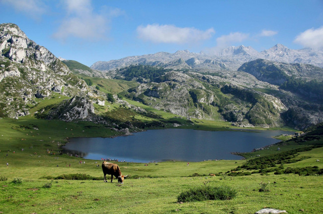 Parque Nacional de España Natural Picos de Europa