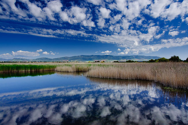 Parque Nacional de España: Parque Natural Tablas de Daimiel