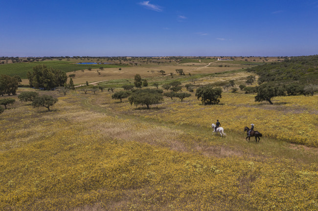 El encanto de lo rural