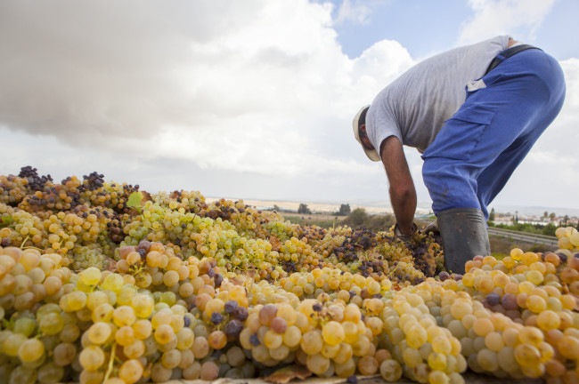 Intégrate en la vida del campo