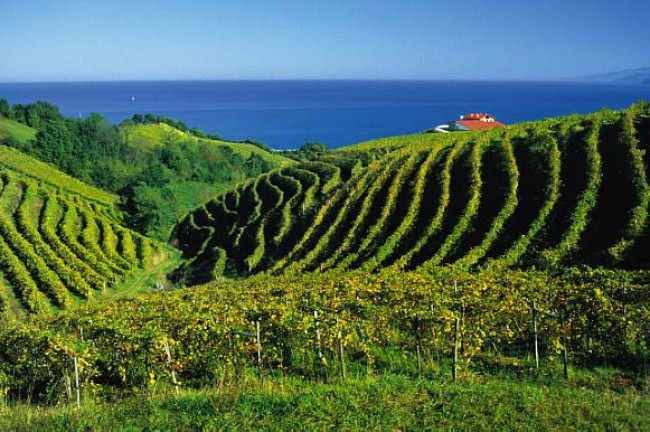 Ruta del Txakoli Getaria Zarautz