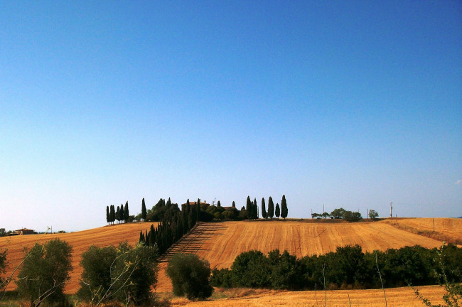 <strong>La Toscana Patrimonio Natural</strong>