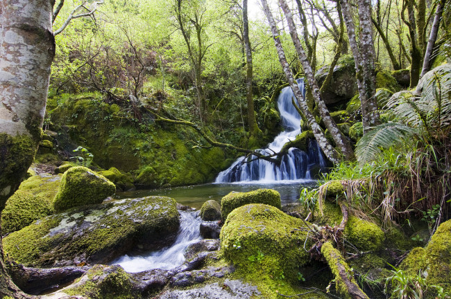 <strong>Ribeira Sacra</strong>