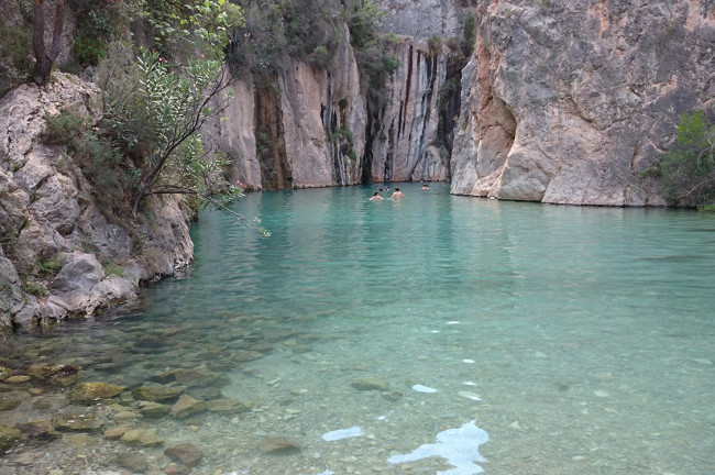 Naturaleza en estado puro