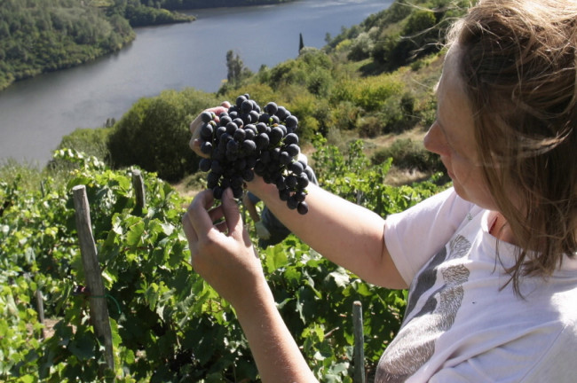 <strong>Ribeira Sacra</strong>