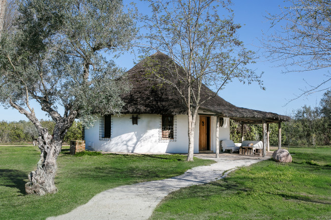 Una escapada al Parque de Doñana 