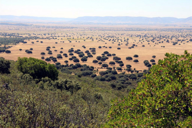 7. Parque Nacional de España: Parque Natural de Cabañeros