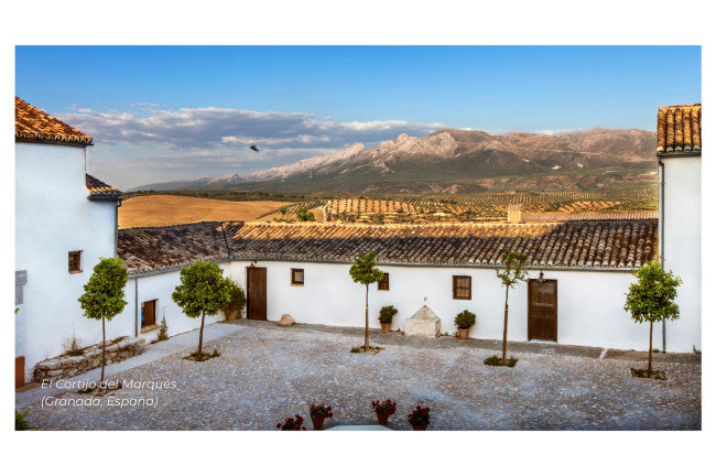 El Cortijo del Marqués: El secreto mejor guardado de la campiña andaluza