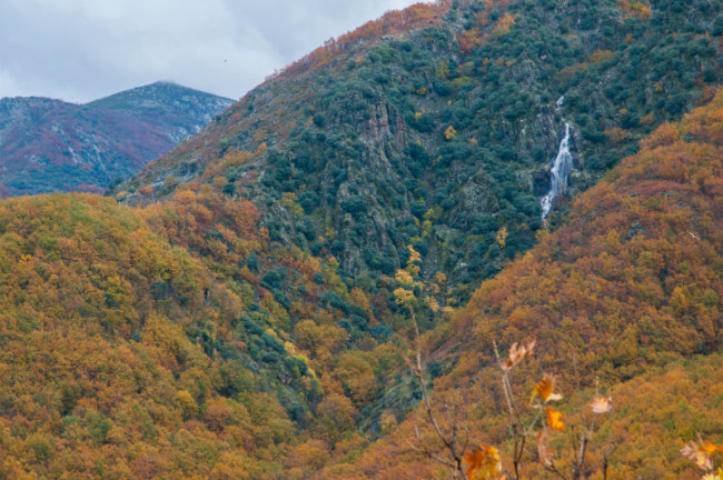 Un secreto susurrado