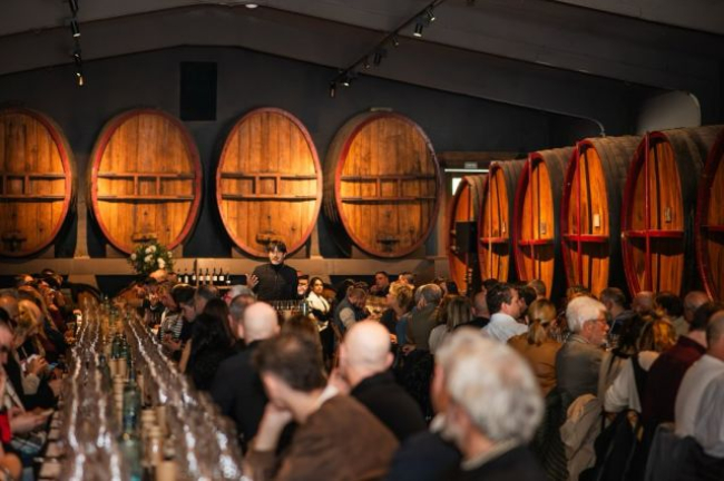 Experiencia "Enológica en Calders": Vinos con vistas al Pirineo