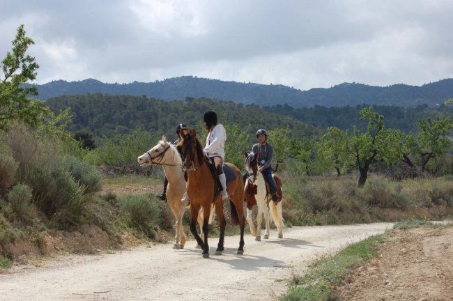 Travesía Ecuestre en el Maigmó: Naturaleza y aventura a caballo