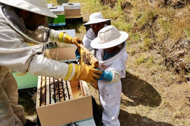 4. El padre "explorador y curioso"