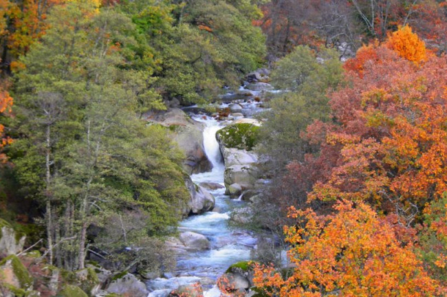El lujo del silencio