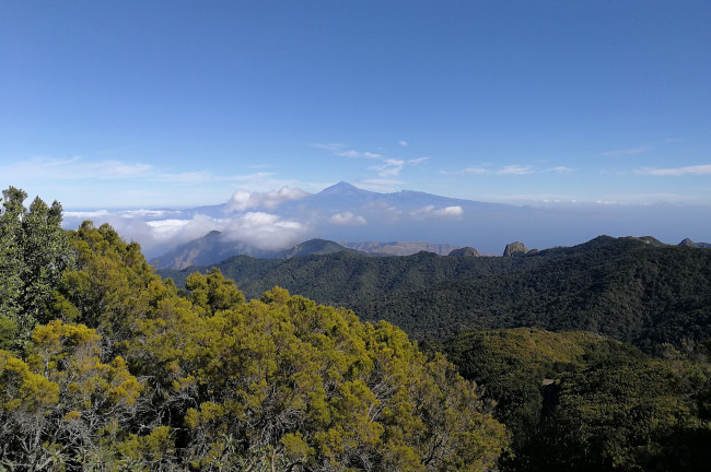 15. Parque Nacional de España: Parque Natural de Garajonay (La Gomera)