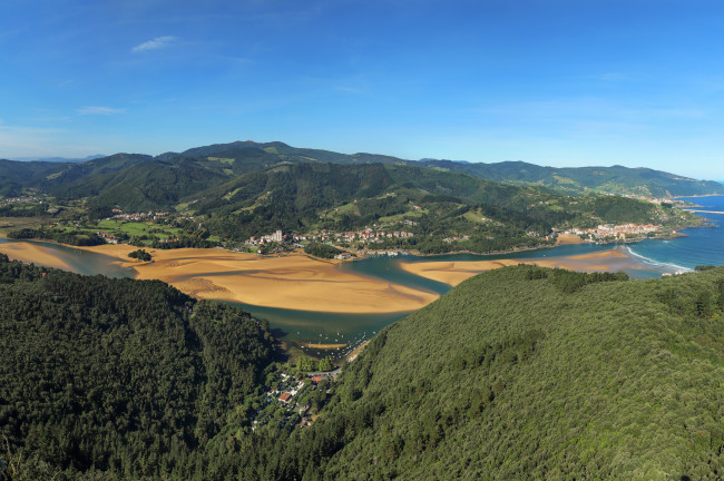 Crea un bosque en Urdaibai 