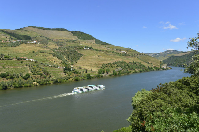 Paisaje perfecto en Portugal - Valle del Douro