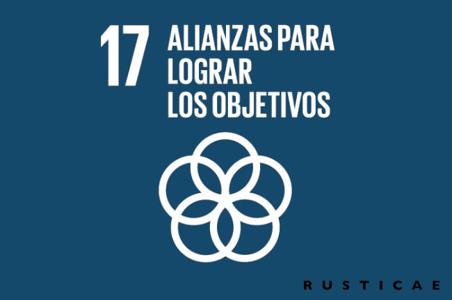 Alianzas para lograr los objetivos