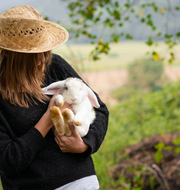 ¿Ganas de Agroturismo?