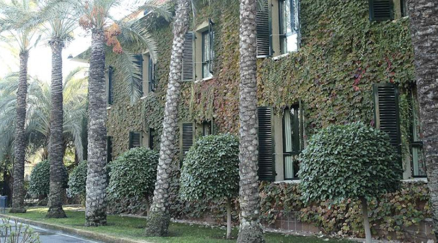 Jardín Milenio