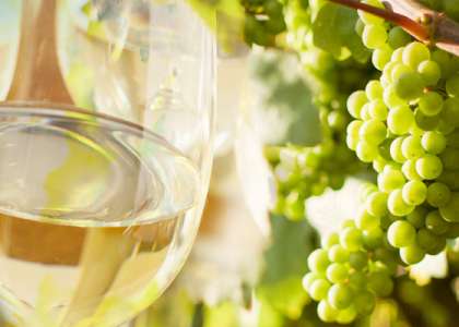 Wine Hotels & Enotourism Wine Hotels & Enotourism