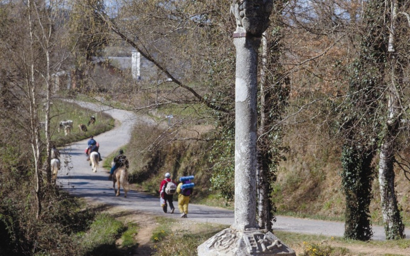 Galicia, vive el camino