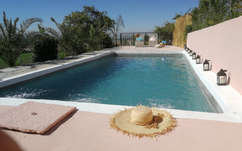 Offers for the end of summer