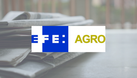 EFE: AGRO