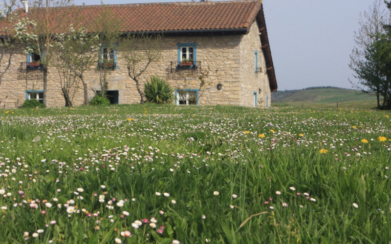 Rural House Full Rental in Strandnähe Ulle Gorri