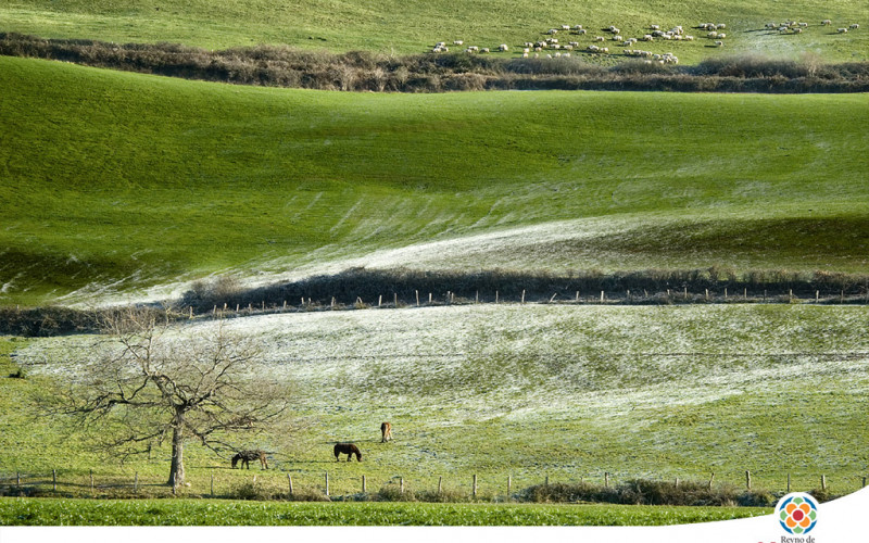 Ländliche Kurzurlaube in Navarra - Kurzurlaub im Uztama-Tal