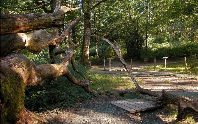 Ländliche Kurzurlaube in Navarra - Orgi Navarra Forest Getaway